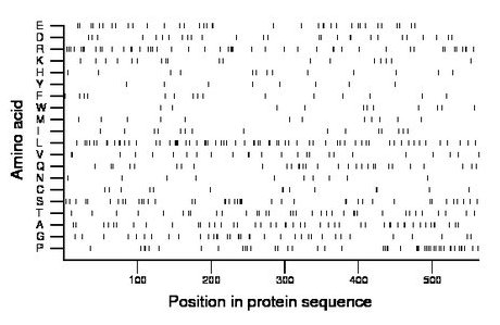 amino acid map