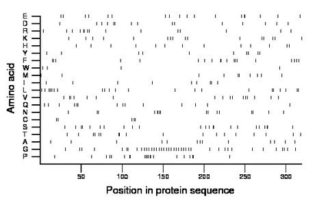 amino acid map