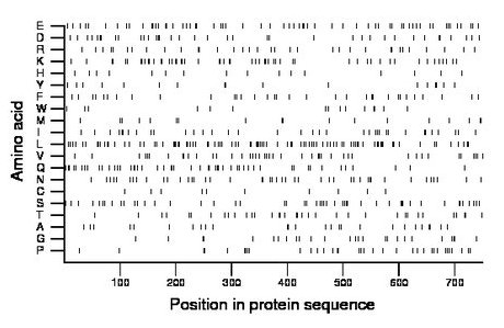 amino acid map