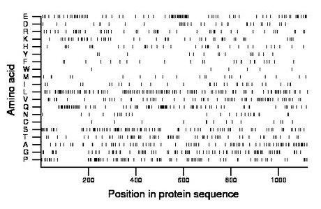 amino acid map