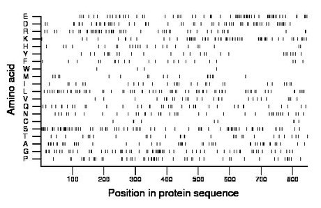 amino acid map