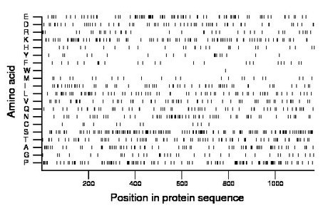 amino acid map