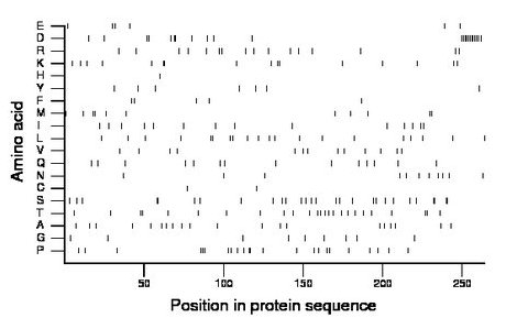 amino acid map