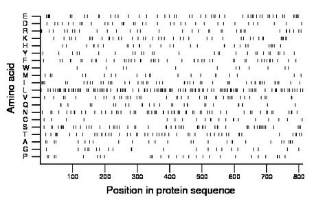 amino acid map