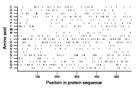 amino acid map