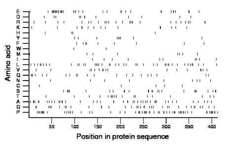 amino acid map