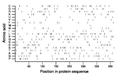 amino acid map