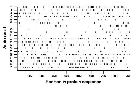 amino acid map