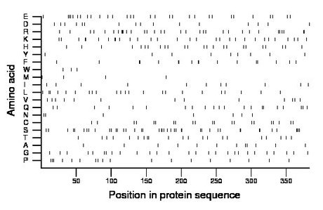 amino acid map