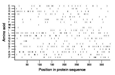 amino acid map