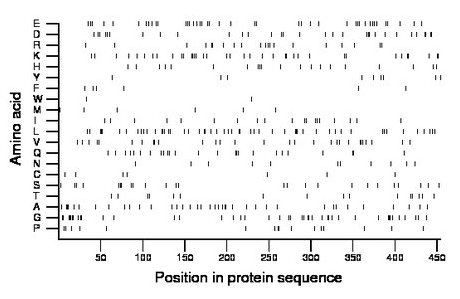 amino acid map