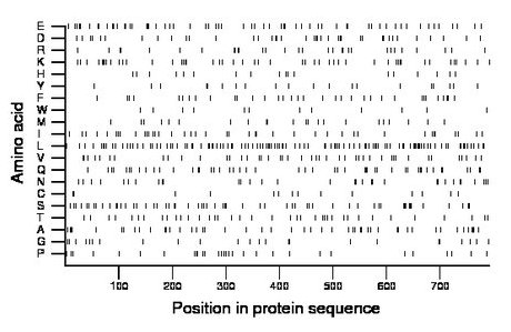 amino acid map