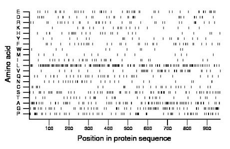 amino acid map