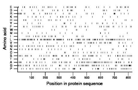 amino acid map