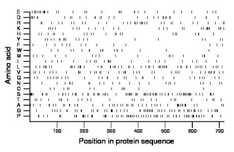 amino acid map