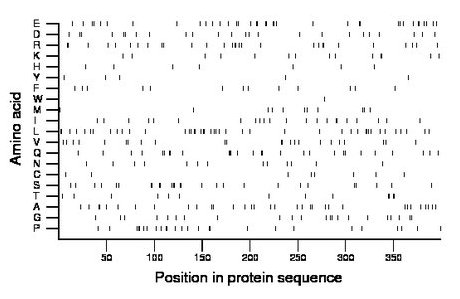 amino acid map