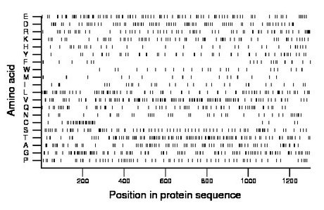 amino acid map