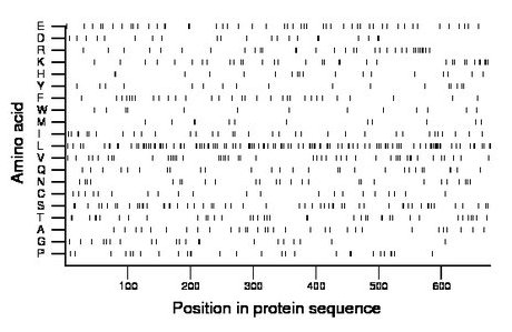 amino acid map