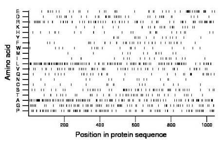 amino acid map