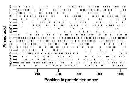 amino acid map