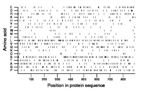 amino acid map