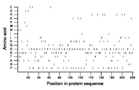 amino acid map