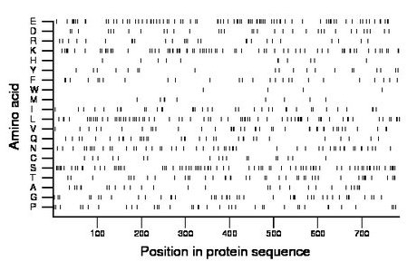 amino acid map