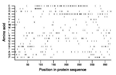 amino acid map