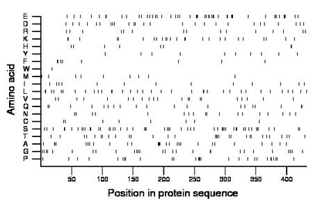 amino acid map