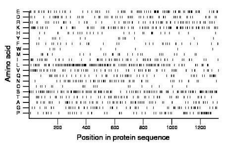 amino acid map