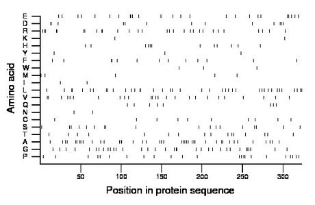 amino acid map