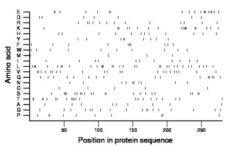 amino acid map