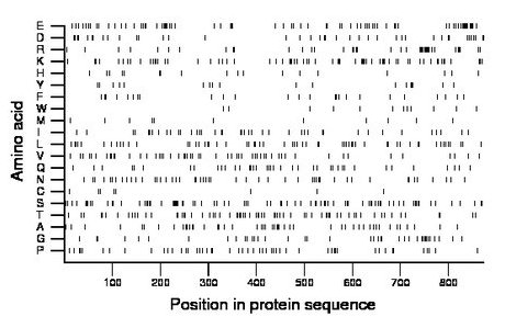 amino acid map