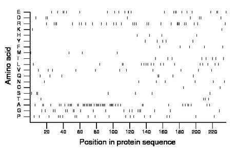 amino acid map