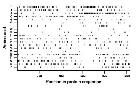 amino acid map