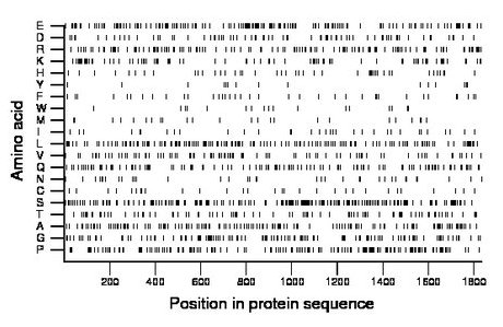 amino acid map