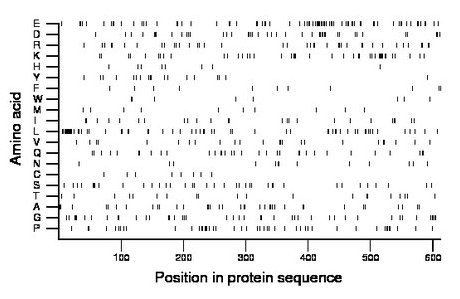 amino acid map