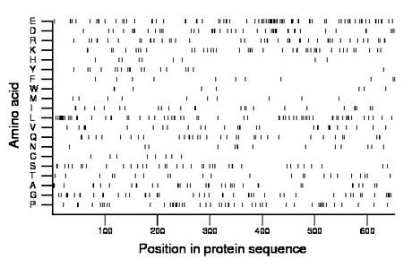 amino acid map