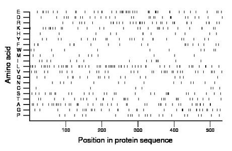 amino acid map