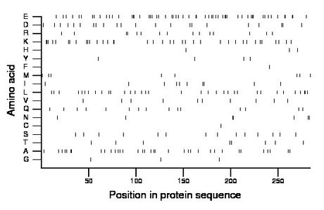 amino acid map