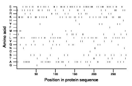 amino acid map