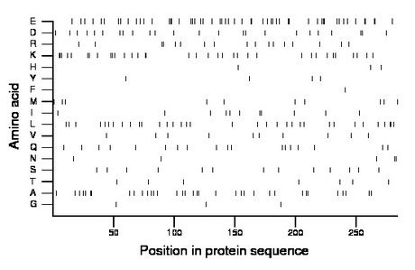 amino acid map