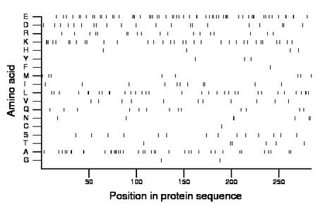 amino acid map