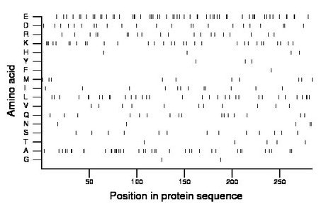 amino acid map