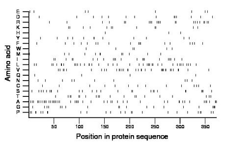 amino acid map