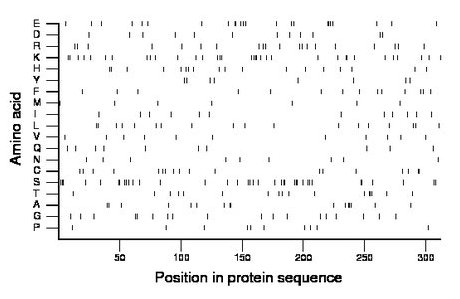 amino acid map