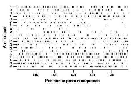 amino acid map