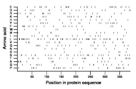 amino acid map