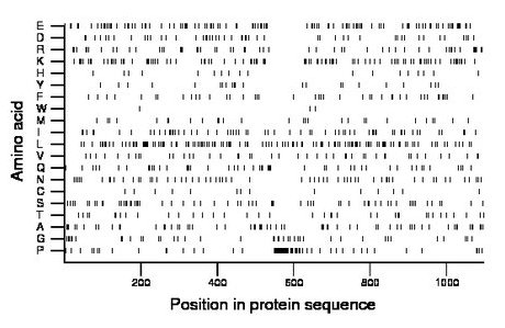 amino acid map