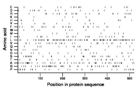 amino acid map